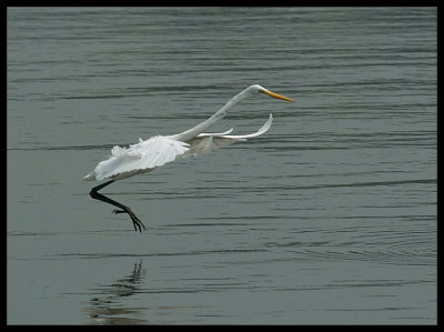 DSC_6972.jpg