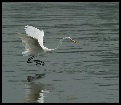 DSC_6973.jpg