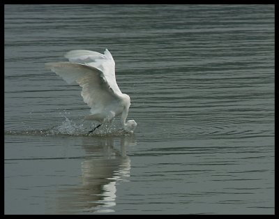 DSC_6976.jpg