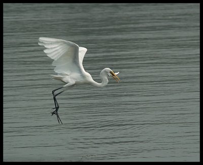 DSC_6979.jpg