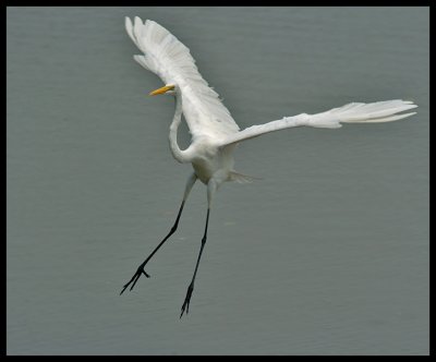 DSC_7127.jpg