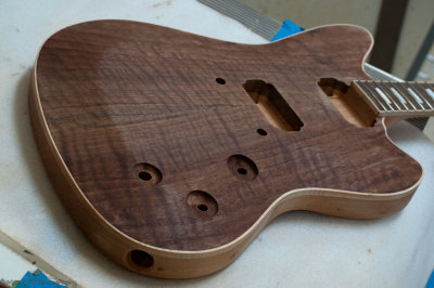 Walnut Daylighter.jpg
