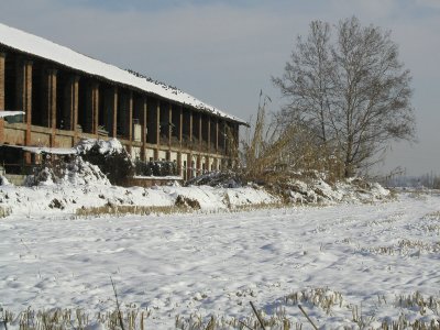 A farm near Milan, Italy winter 2005