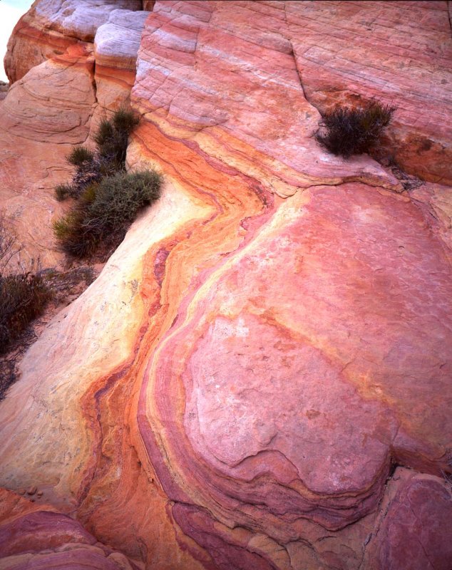 Valley of Fire SP, NV