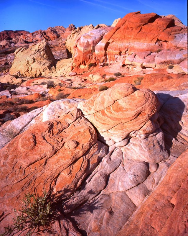 Valley of Fire SP, NV