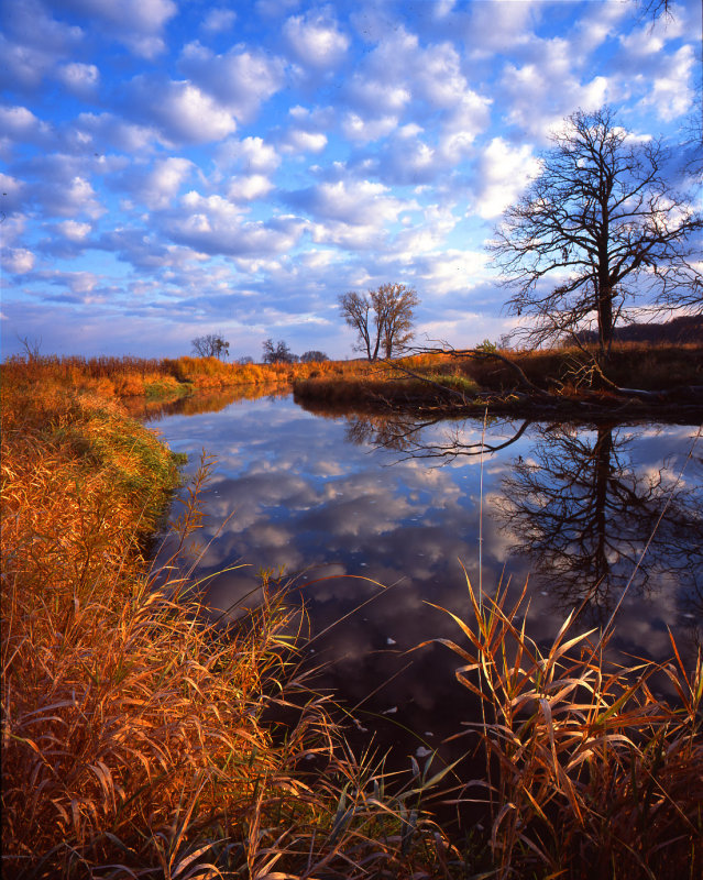 Glacial Park Morning