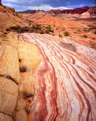 Valley of Fire SP, NV