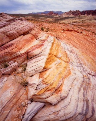 Valley of Fire SP, NV