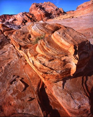 Valley of Fire SP, NV