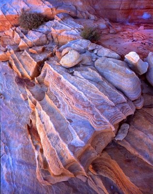 Valley of Fire SP, NV