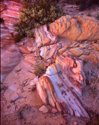 Valley of Fire SP, NV