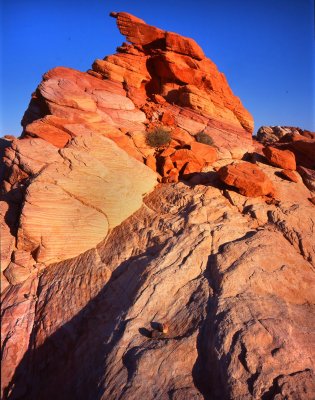 Valley of Fire SP, NV