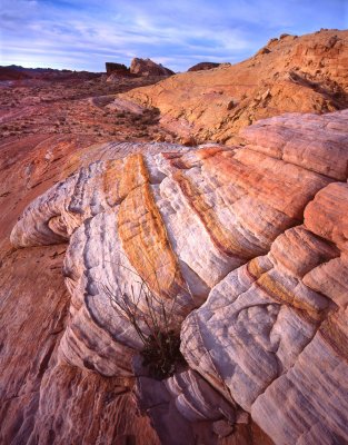Valley of Fire SP, NV