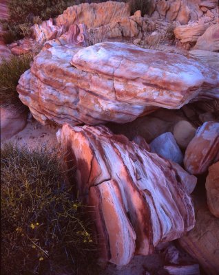 Valley of Fire SP, NV