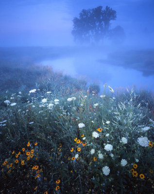 Glacial Park, McHenry Co, IL