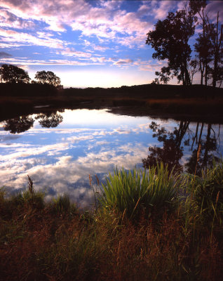 Glacial Park, McHenry Co, IL