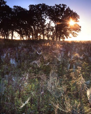 Glacial Park, McHenry Co, IL