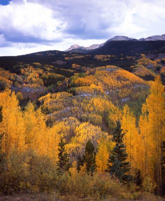 Lime Creek Burn, Million Dollar HWY, Colorado