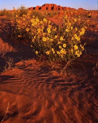 Goblin Valley State Park, UT