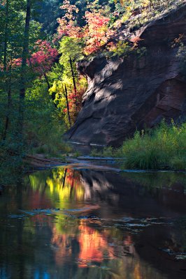 Fall Everlasting