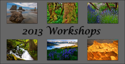 2013_workshop_header.jpg
