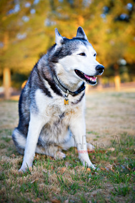 DSC_2021-small.jpg