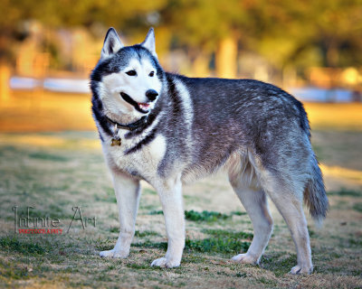 DSC_2024-small.jpg