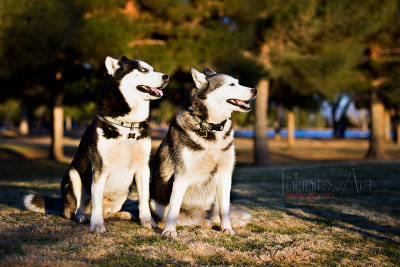 DSC_2029-small.jpg
