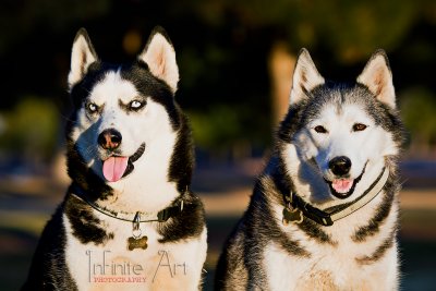 DSC_2041-crop-small.jpg