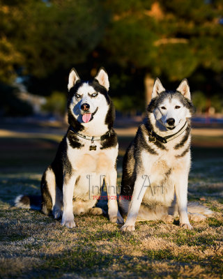 DSC_2039-small.jpg