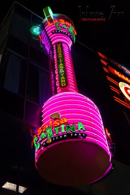 DSC00955-small.jpg