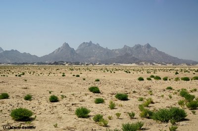 Deserto-El Shalatin