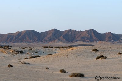 Deserto- Hamata