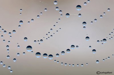 Gocce d'acqua - Drops