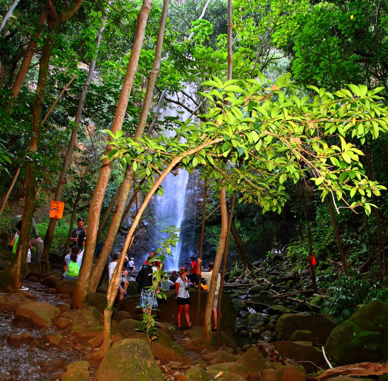 _MG_6454.jpg