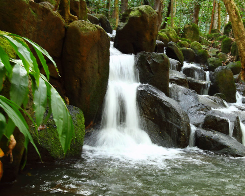 _MG_6462.jpg