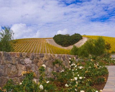 Niner Winery - Paso Robles