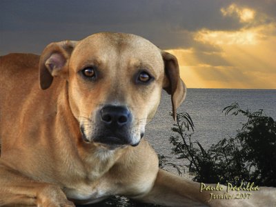 Fernando de Noronha, Pernambuco