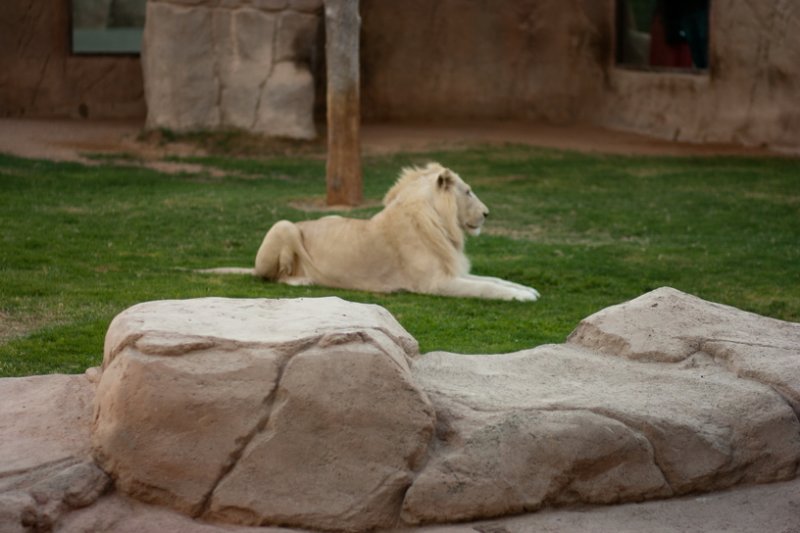 img_2010_11_20_0047.jpg