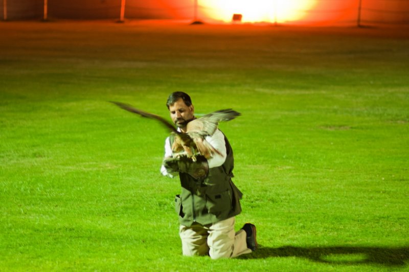 img_2010_11_20_0050.jpg