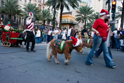 New Orleans 2010: Block Party on Canal Street