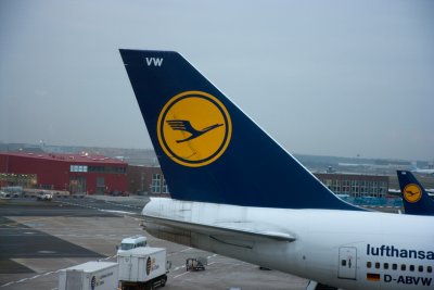 img_2010_11_17_0011.jpg