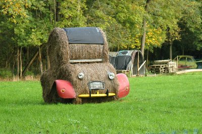 2 CV empaillée