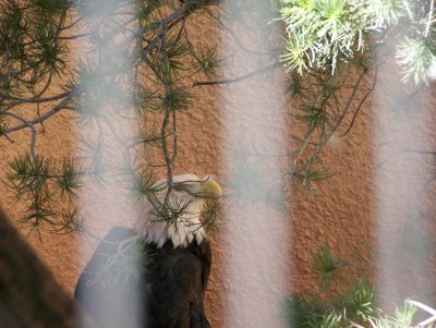 river and zoo 037.JPG