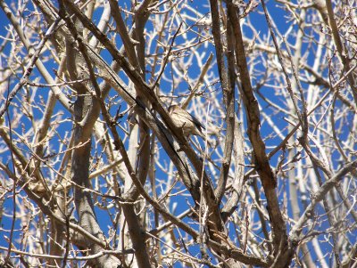 100_4180.JPG