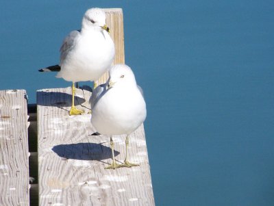 100_4192.JPG