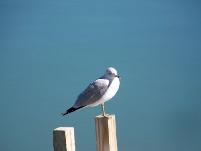 100_4199.JPG