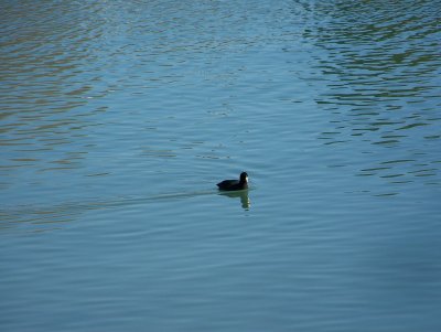 100_4211.JPG