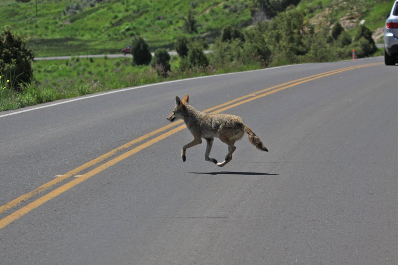 please drive carefully