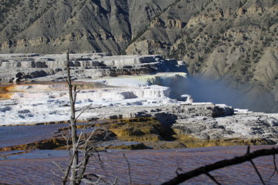 Mammoth hot springs